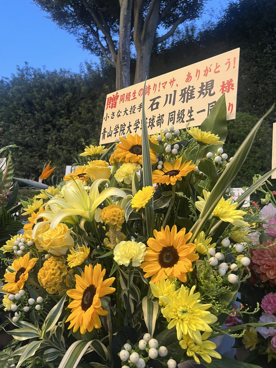chinayaku_mzk's tweet photo. これが一番泣けた https://t.co/5BzAYDrqZH