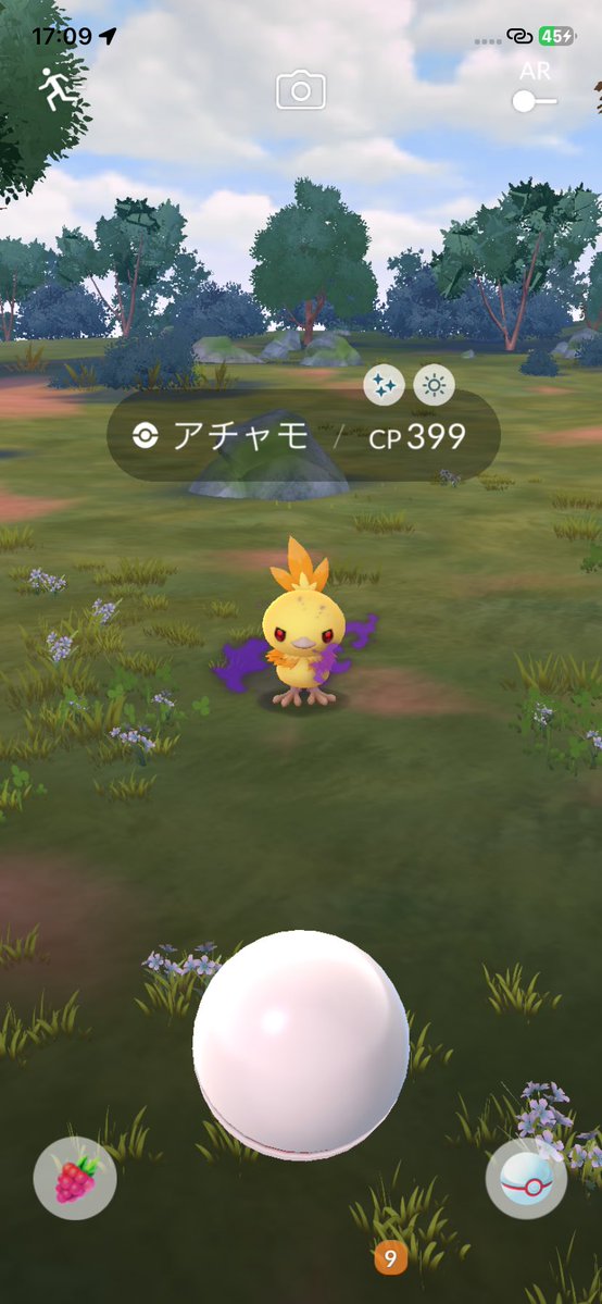 rendff0's tweet photo. アチャモ色違いリトレーン100出たァ😁
 #ポケモンGO https://t.co/uRjSW1t553