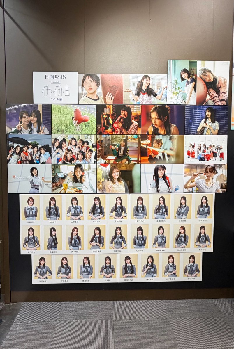skmkhrn's tweet photo. HMVとタワレコに行ってはるはるのサイン見てきた🌱
しれっとCDも追加購入😮‍💨

#日向坂46_イチャイチャ虫
#片山紗希
#山下葉留花 https://t.co/NmBuyD8ilC