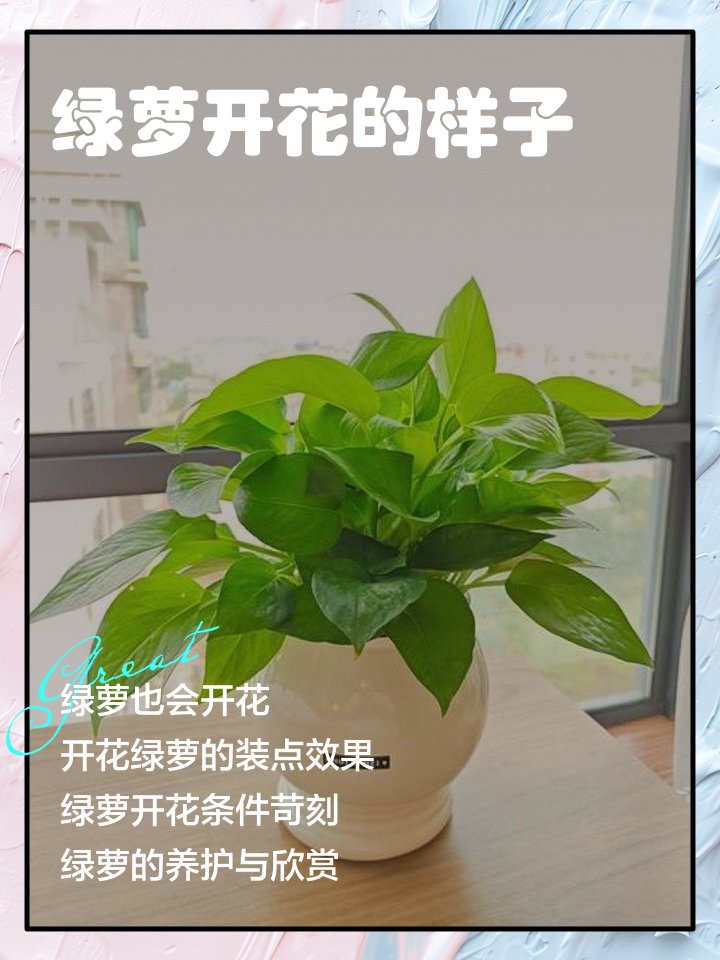 SparkVanguozvi's tweet photo. When the work clock feels like it’s stuck on snooze  Only the top-tier desk plant and I are killing time today. https://t.co/dO84wVwz7G