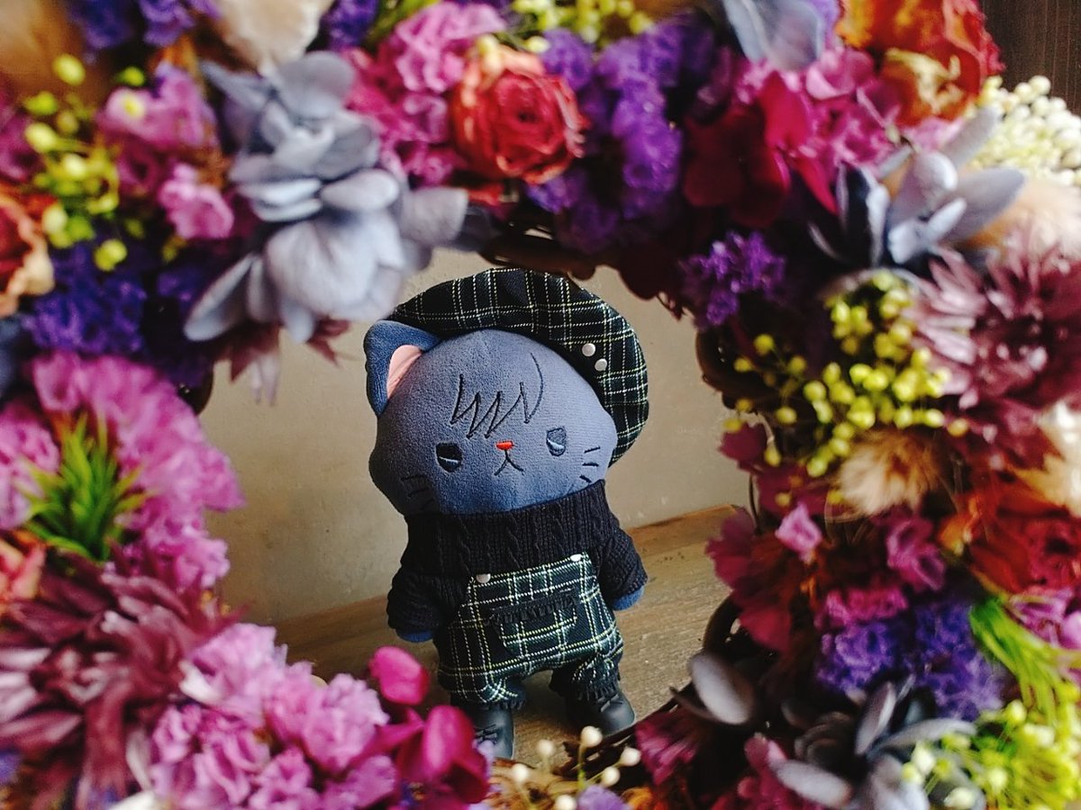 koharu_nui's tweet photo. 秋色🍂めぐにゃんさん😼 https://t.co/E6rsvb8n1Q