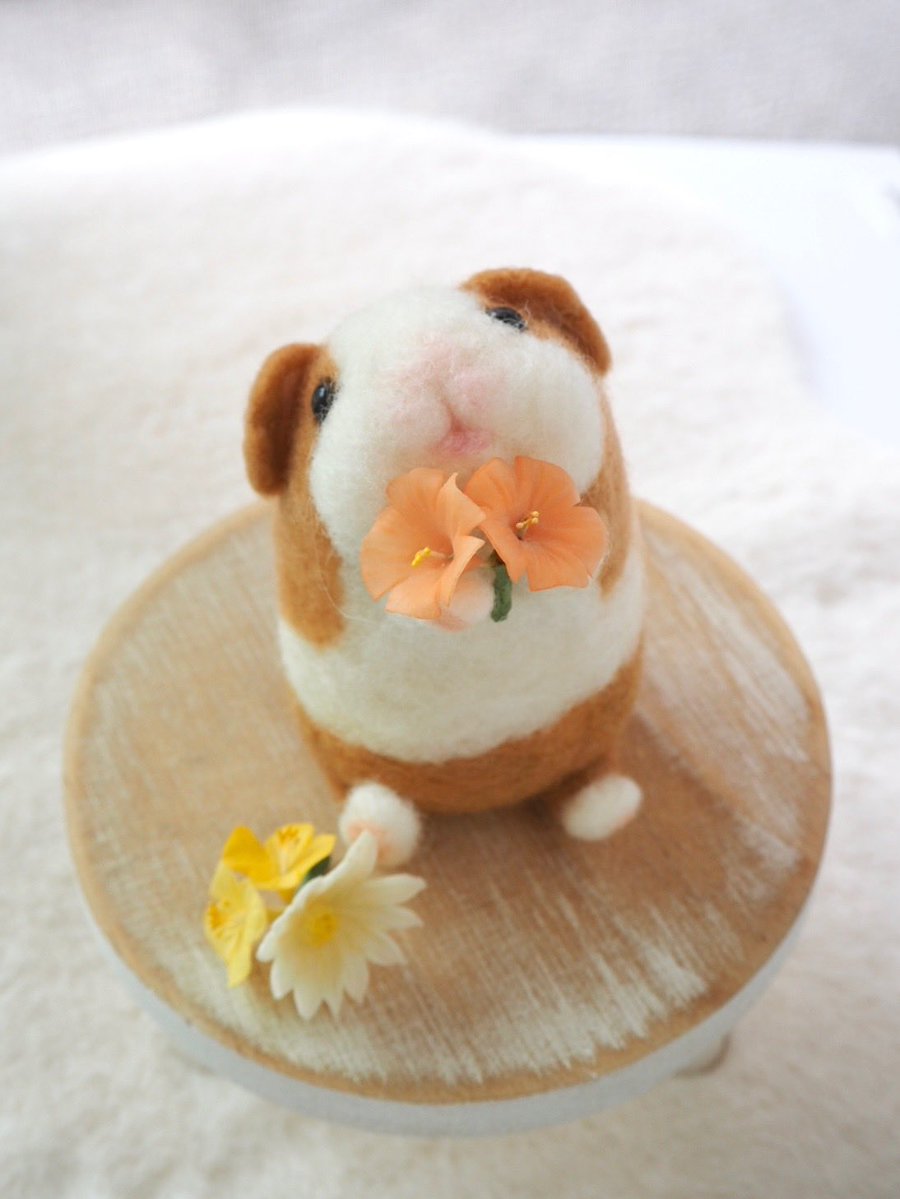 mororu_mom's tweet photo. ママの羊毛モルちゃんも #モルモットぷいぷい に連れていきます💐⋆˙ https://t.co/l3Jf9dEAM4