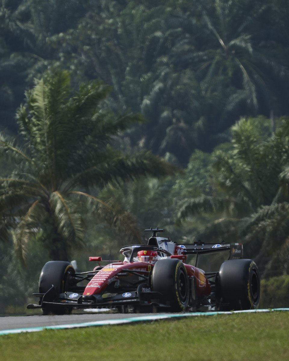 ScuderiaFerrari's tweet photo. The Sepang grid is set! 🇲🇾 https://t.co/gjnyvou2QF