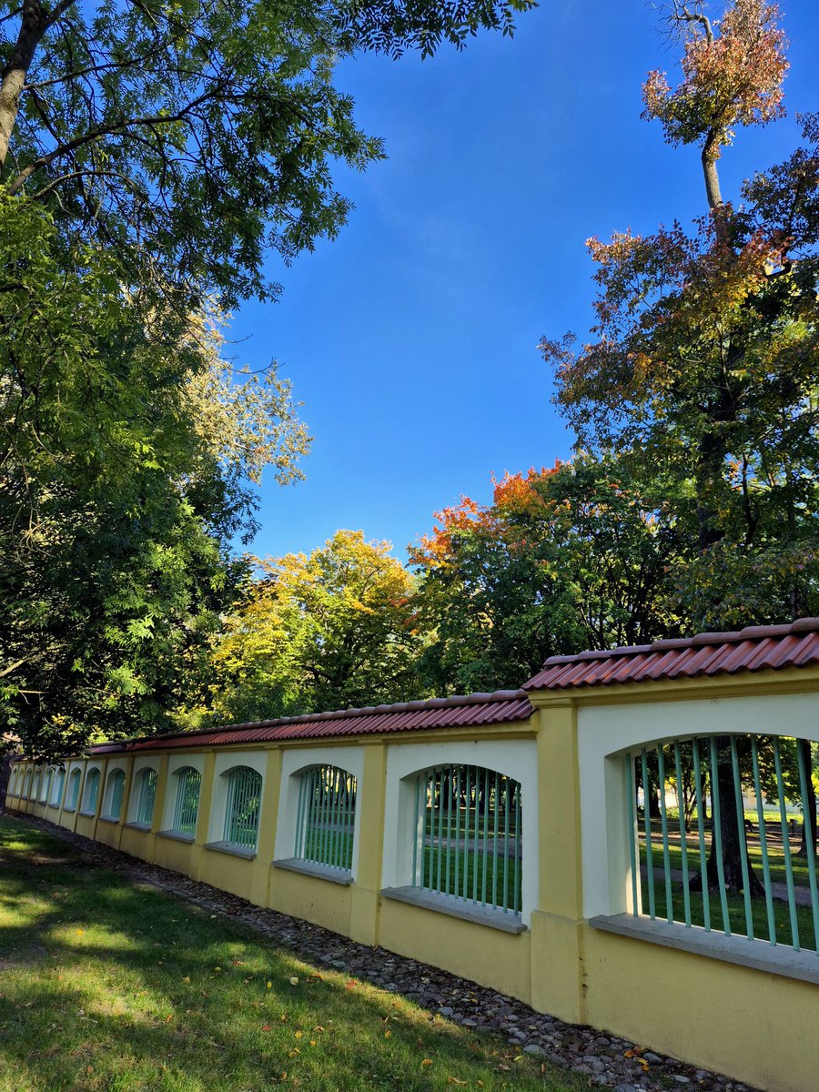 Grazyna94563873's tweet photo. Jesień i słońce potrafią zachwycić grą kolorow.
Duet doskonaly🌞🍂
💙🧡☕️
#KawaRaz
#ColorsOfAutumn
📷 https://t.co/RSG5PxAHuK