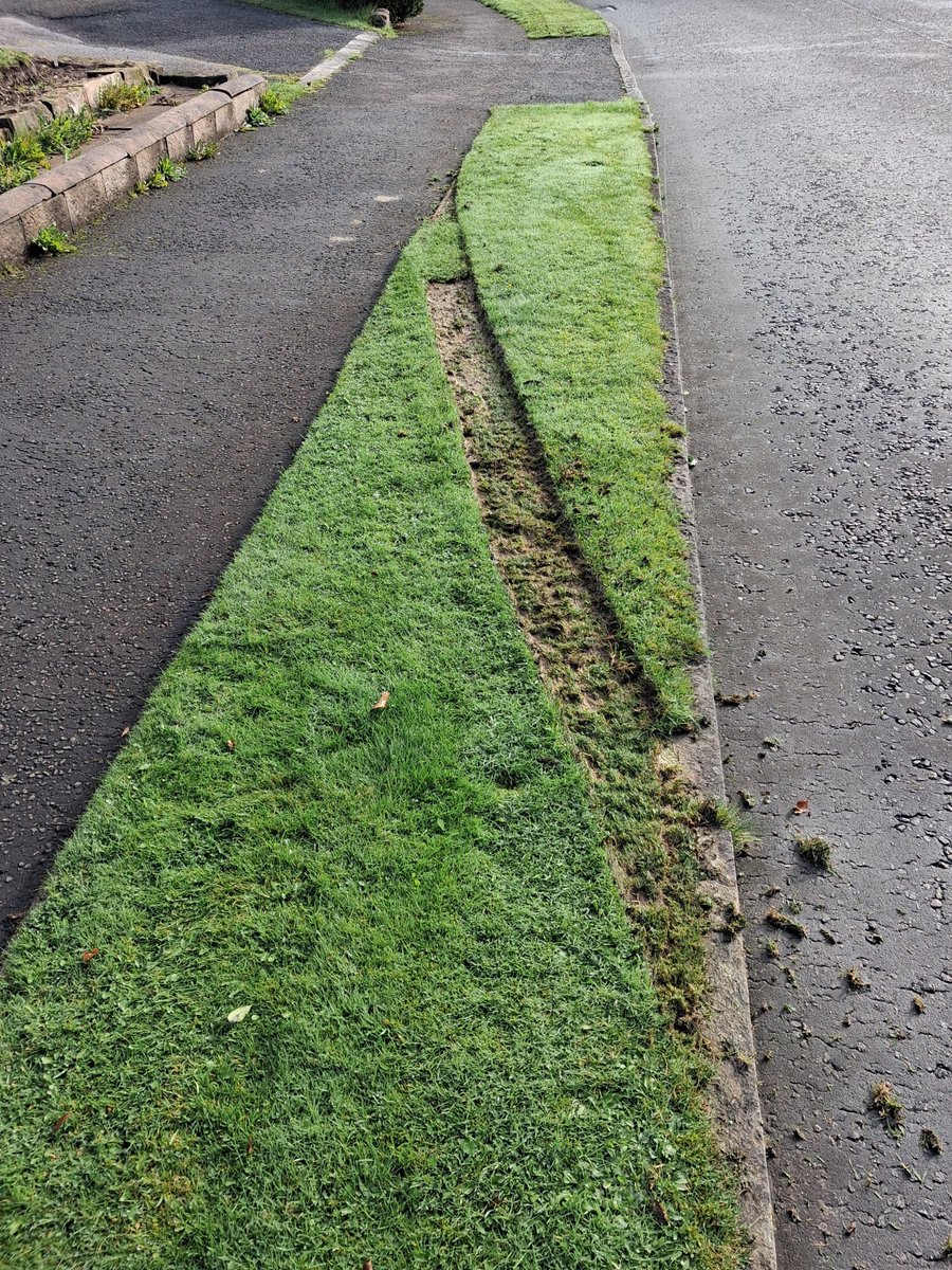dadbegg's tweet photo. Over the years we've tried to keep the wee bit of grass between the road and the pavement a touch tidier, &amp; then along comes a driver delivering next door, who couldn't care less, &amp; in seconds undoes years of work. "Thanks", pal. https://t.co/GN5H3Kv9y1