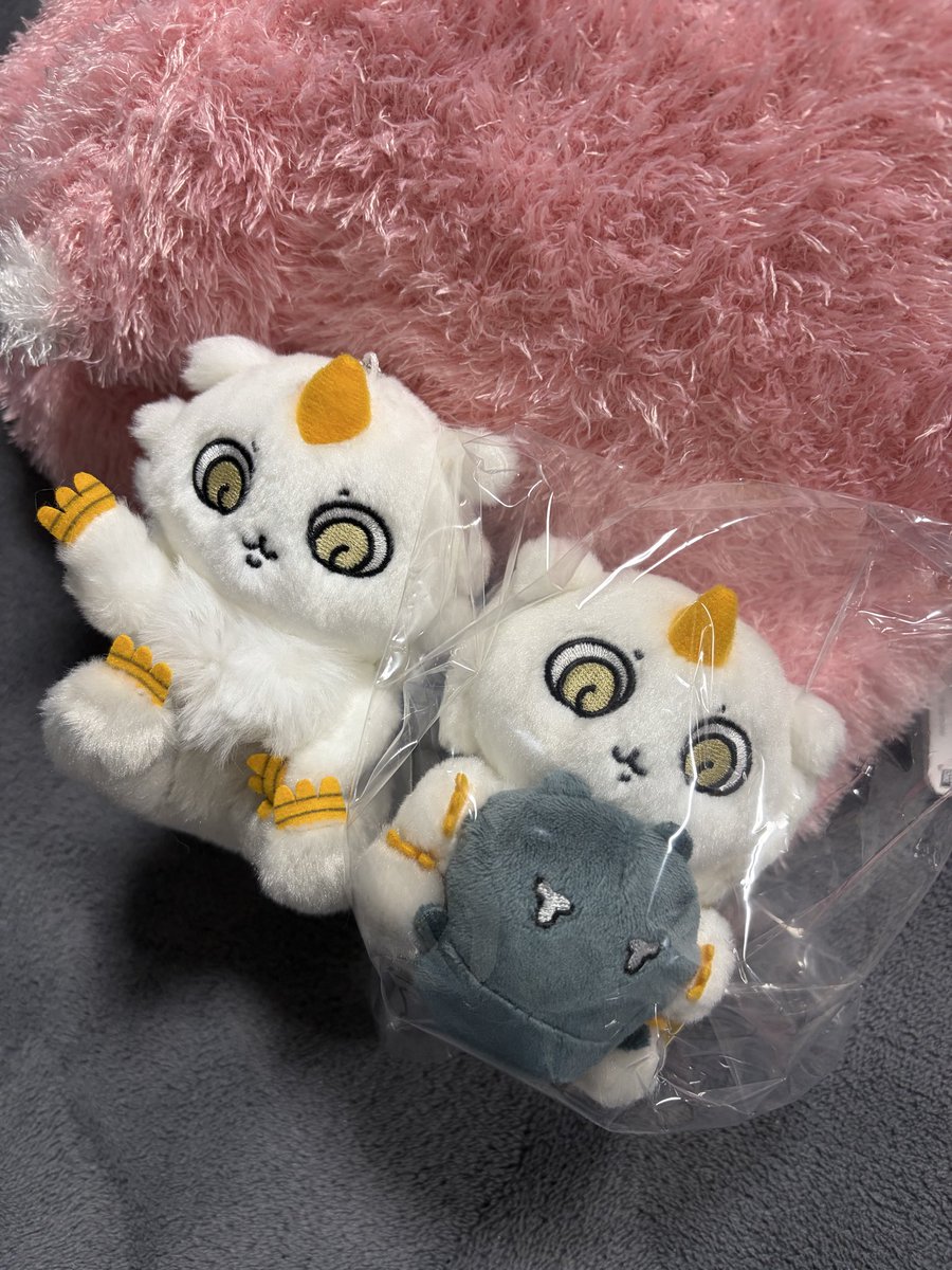 taka1986y's tweet photo. あのこ買っちゃった🥰
探してたガチャも回せてよき🥳
ボートが欲しかったけど島二郎かぶっちゃったよ🥹 https://t.co/9bHaHWmO3V