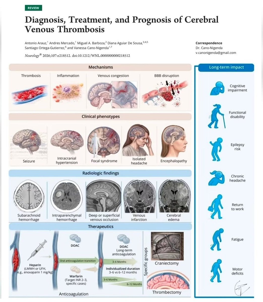 drsthanus's tweet photo. "Diagnosis, Treatment, and Prognosis of Cerebral Venous Thrombosis" published in the journal Neurology (2026)

It visually breaks down the condition into distinct sections covering underlying mechanisms (such as thrombosis and inflammation), clinical phenotypes (like isolated headaches, seizures, and encephalopathy), radiologic findings on imaging scans, therapeutic pathways (including anticoagulation and surgical intervention), and long-term functional impacts.

https://t.co/0sjeS1zoNB