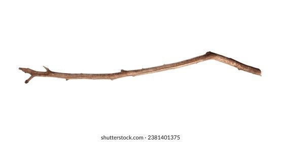 supercreaturwow's tweet photo. proof that the internet will argue about everything😂
this is a stick https://t.co/g0j3zjx5Tm