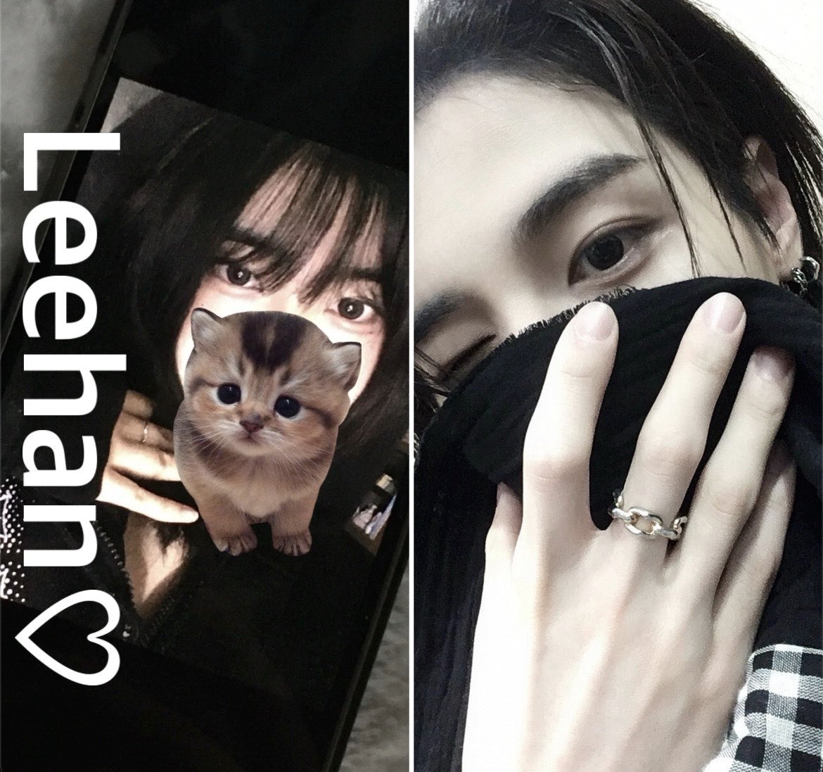 Zzzzzzh___12's tweet photo. #원도어트친소 #원도어_트친소

잏냥이 할사람 ….🐈💕 https://t.co/CSa3bcL0Vq