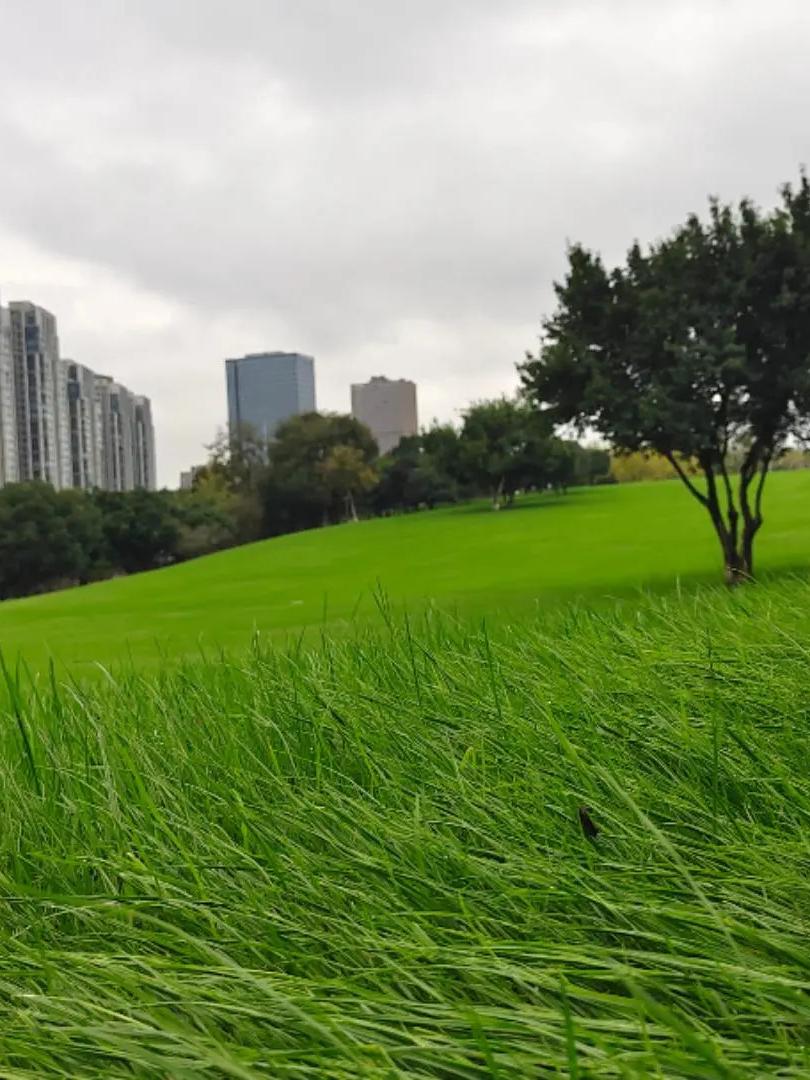 MagneticTrrqf6's tweet photo. Join our neighborhood clean-up this Sat 9am at Central Park! Grab gloves u0026 snacks—all ages welcome! Help keep our community fresh https://t.co/qpGf0xzKu8