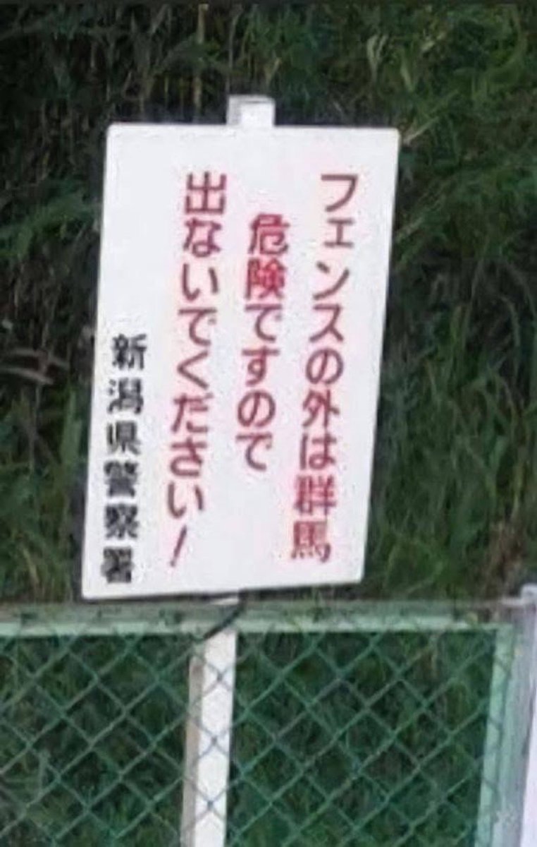 kinczem's tweet photo. @anitemp このくらいのインパクトだ https://t.co/bRMFWv7klm