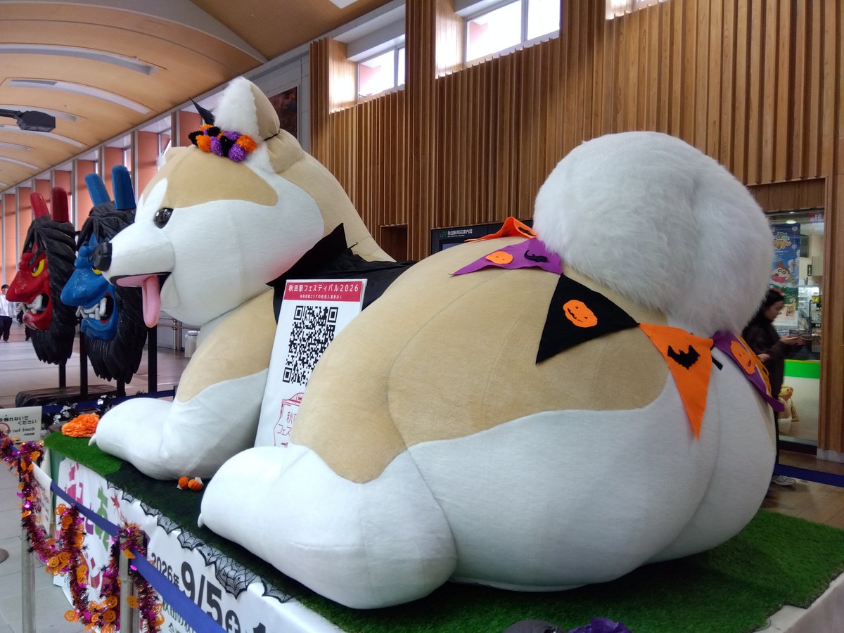 Coo67860211's tweet photo. 秋田駅の改札前には秋田犬とナマハゲが居ます！🐶👹 https://t.co/LuTEJyViTh