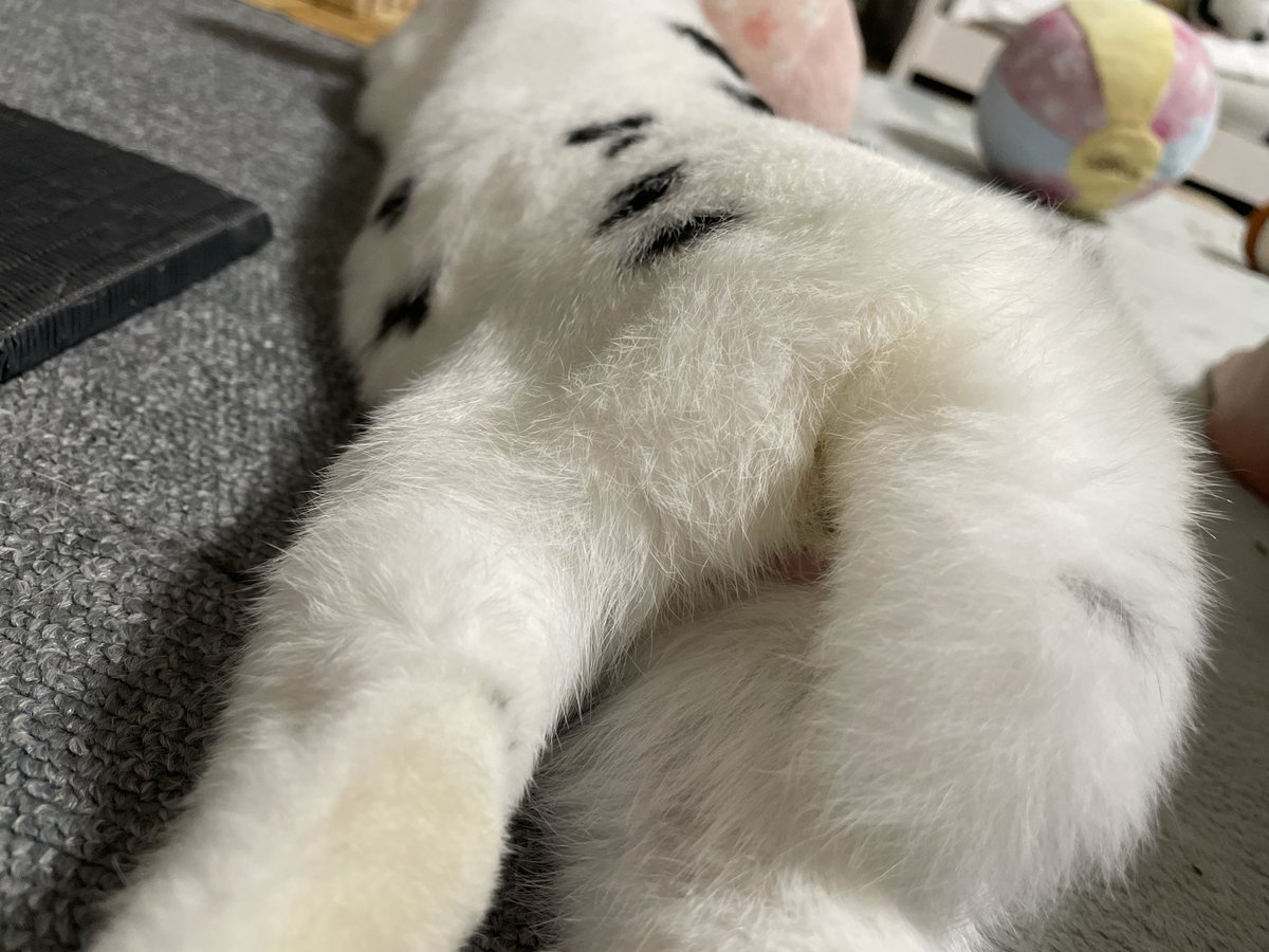 bj_10150604's tweet photo. @sAlxhDABL9RFOy6 特別に💜
せくちぃショット💜笑笑 https://t.co/udY9VQj2SS