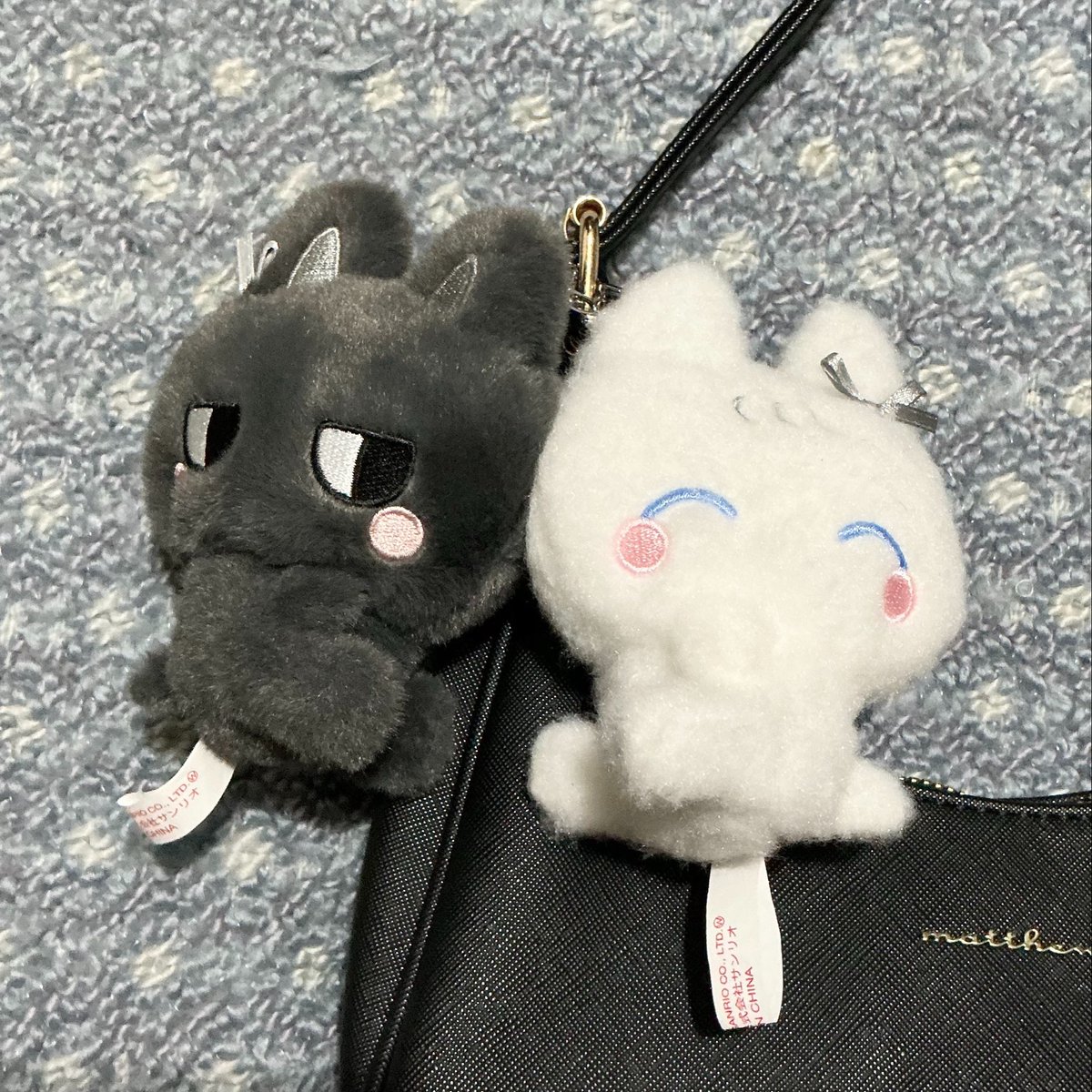 myungfourz's tweet photo. 🖤🤍 https://t.co/uy25QwgkHl