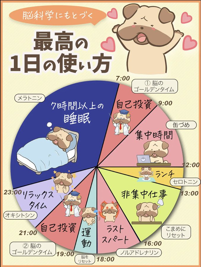 pagumental's tweet photo. 脳が最も効率的に使える最高の1日の過ごし方 https://t.co/2VPwAjpSN6