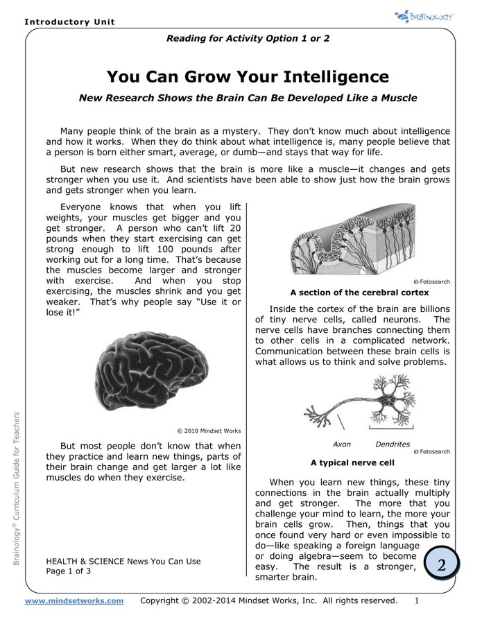 MagnusVigso's tweet photo. You can literally grow your intelligence https://t.co/GtFKHfzINS
