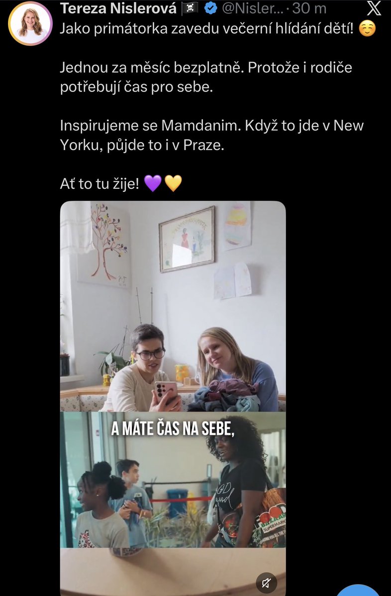 LudekStanek's tweet photo. “Inspirujeme se Mamdanim” … kdyz muze Zlatuskova v Brne inspirovat nejslavnejsim americkym muslimskym socialistou, my muzem taky. https://t.co/M7fW1LVh8q