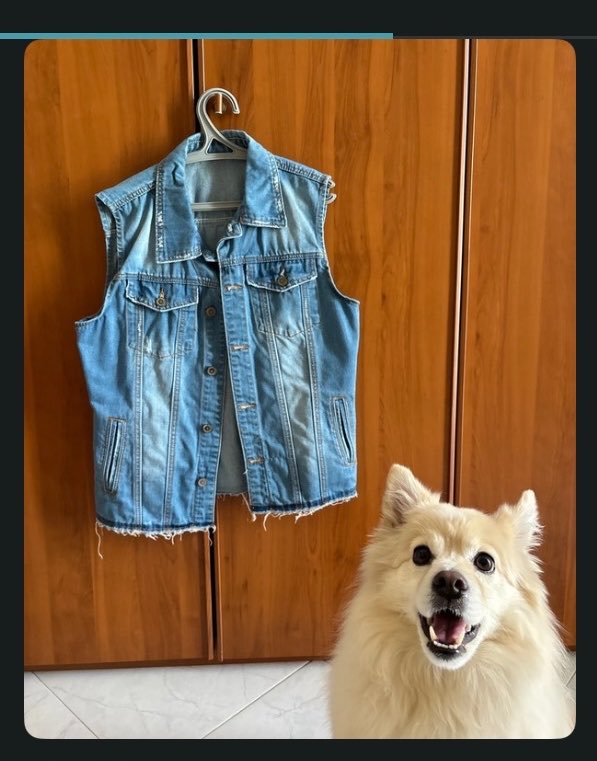 riprovadomani's tweet photo. io che cerco di vendere la roba (di mia madre) su vinted cercando di intenerire gli acquirenti AHAHAH come fai a dire no a quel musetto🙂‍↔️🙂‍↔️ (spero funzioni!!) https://t.co/dsjxejG4or