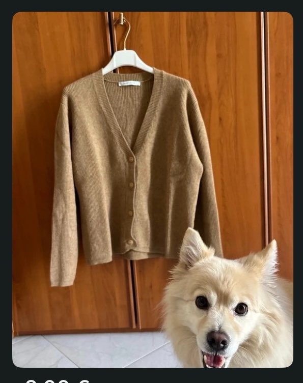 riprovadomani's tweet photo. io che cerco di vendere la roba (di mia madre) su vinted cercando di intenerire gli acquirenti AHAHAH come fai a dire no a quel musetto🙂‍↔️🙂‍↔️ (spero funzioni!!) https://t.co/dsjxejG4or
