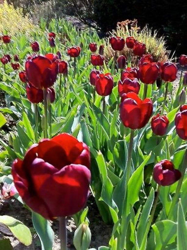 amena_ali7's tweet photo. Good morning everyone! It’s a beautiful Saturday. If your burden feels too heavy today, remember you don’t have to carry it alone. Lean on those who care about you. My load feels much lighter thanks to kind friends on here. Happy weekend ❤️❤️❤️ https://t.co/D60nzpmW7V