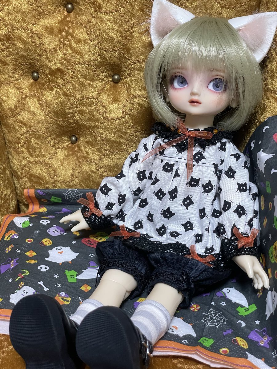 agepan_ck's tweet photo. TLでお見かけした可愛いのを我家のニャンコ🐈‍⬛にぴったり！と思い購入させてもらいました〜
やっぱ可愛い〜😍オマケも嬉しかったです♡😊

👔猫星堂さま(@caraway9142947 ) https://t.co/XhkK9A8WI6