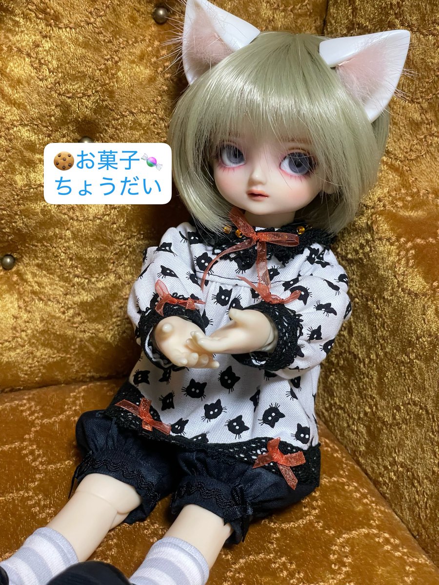 agepan_ck's tweet photo. TLでお見かけした可愛いのを我家のニャンコ🐈‍⬛にぴったり！と思い購入させてもらいました〜
やっぱ可愛い〜😍オマケも嬉しかったです♡😊

👔猫星堂さま(@caraway9142947 ) https://t.co/XhkK9A8WI6