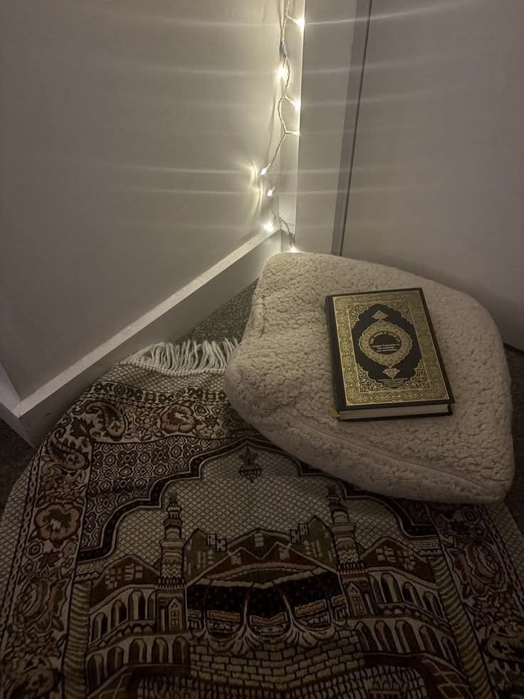 _Nawab_zadi_'s tweet photo. خَيرُالناسِ مَن يًنفعُ الناَس

بہترین انسان وه ہے جسکا وجود دوسروں کیلئے فائدہ مند ہو ! https://t.co/kBUdGxWlEw