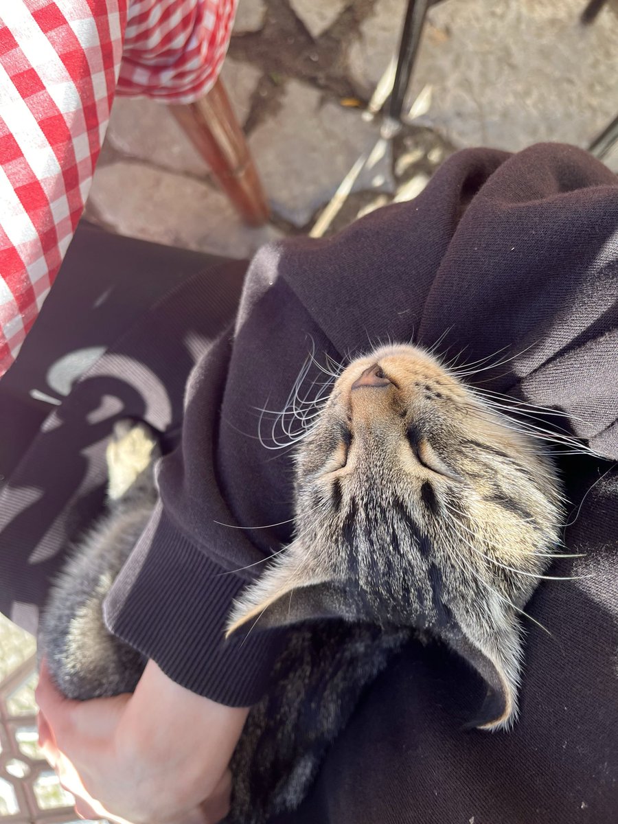 esahinesra's tweet photo. “Herkes köşesini kapmış, iyi ama
Ben nası' büyük adam oluca'm?” 🎶 https://t.co/a1lwlY2xwU