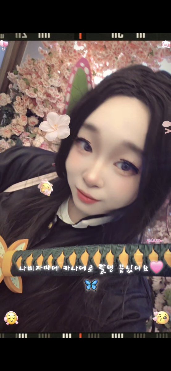 book800913's tweet photo. 찍고 싶었던 나비자매  카나에로 촬영하고 왔어요🩷🦋 https://t.co/gFN0SeEs5k