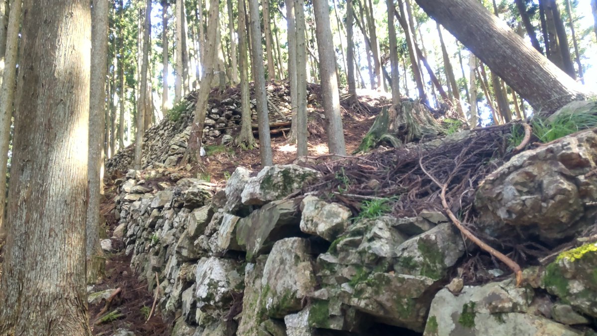 ZXrrbredpine's tweet photo. #周山城 に行ってきた！
石垣がちょろっとなのかと思いきや。
いたるところに、石垣が使われてた！

まじで、すごい城！ https://t.co/AguEOrzlQJ