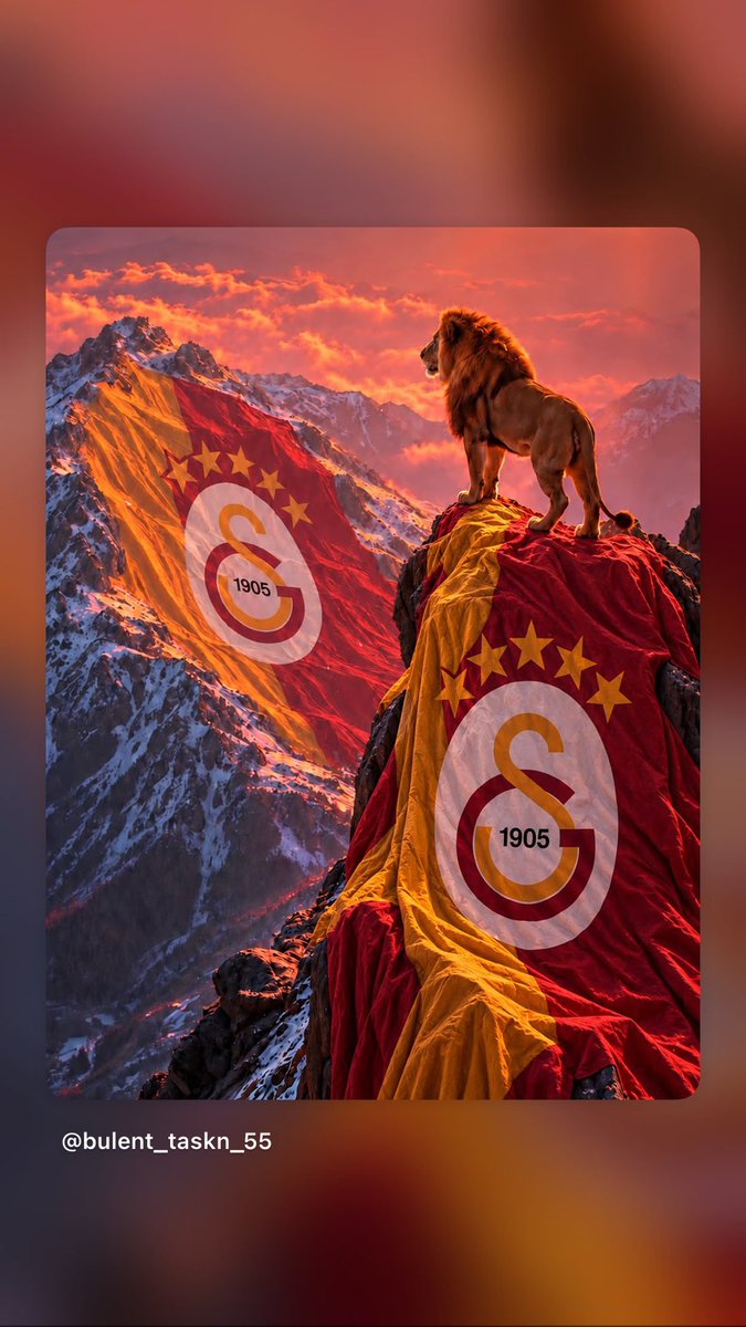 GalaKral21's tweet photo. Gündem ne kadar meşgul olursa olsun ben seninle meşgulüm Galatasaray’ım😍😍💛❤️ https://t.co/U8TWPt8J9C