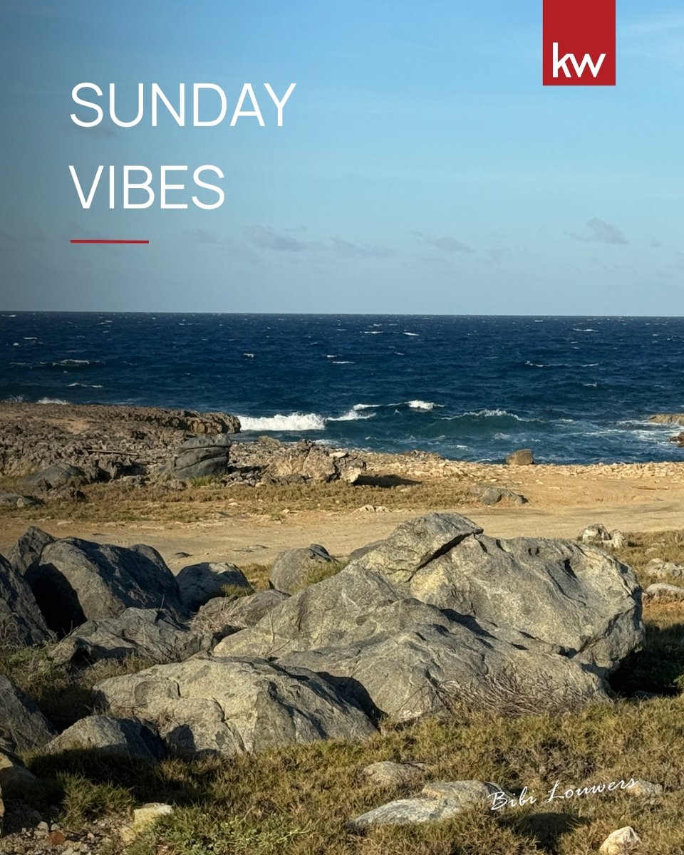 KWArubaBibi's tweet photo. 🌊 Sunday by the water, where Aruba shows its wilder side.

A peaceful spot to slow down, enjoy the ocean breeze, and take in the rugged beauty of the island. ☀️🌴

Enjoy your Sunday!

#KWAruba #ArubaRealEstate #ArubaLiving #SundayInAruba #ArubaNature #OneHappyIsland https://t.co/k3Gb79tTMY