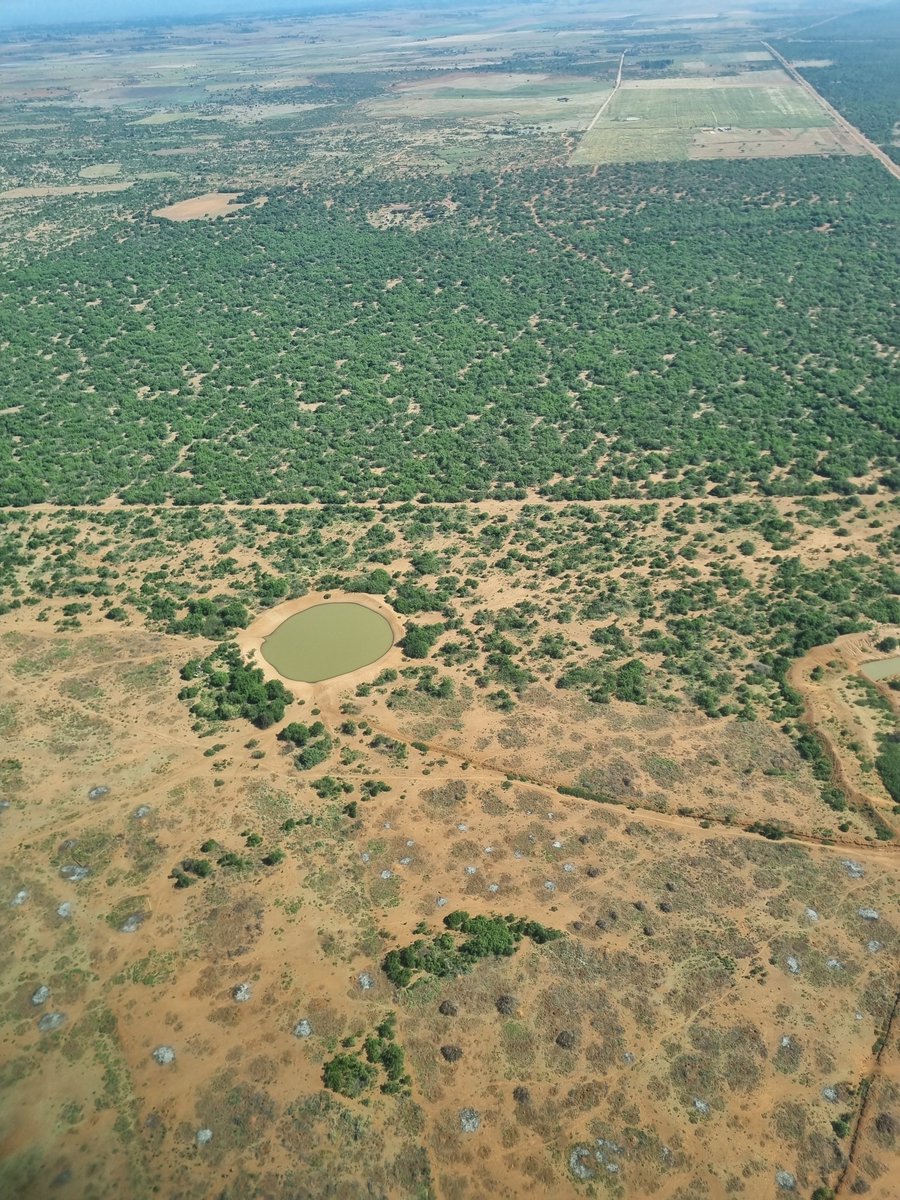 PhotosForTrees's tweet photo. Landscapes of Kenya https://t.co/PPWXLR3G5L