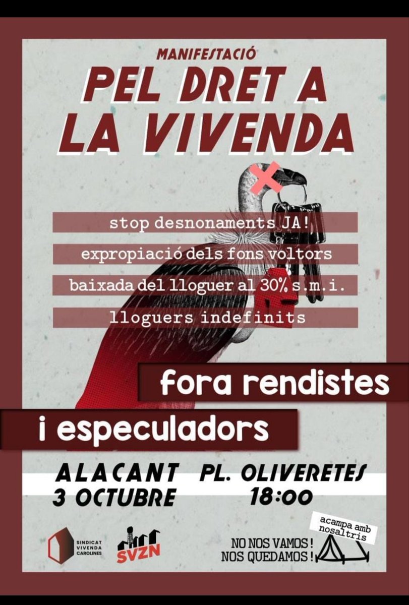 lozanty's tweet photo. Feliz fin de semana reivindicativo desde Alicante. Seguimos 💪🏽♥️💛💜🇵🇸🌿⛺⛺⛺⛺🏘️🏘️🏘️🏘️🏘️ #PorPalestina #PorLaViviendaDigna NoS vemos en las calles, en las plazas, en las manifestaciones, comcentraciones y acampadas ✊🏽🔻 https://t.co/wA6aitQFyF