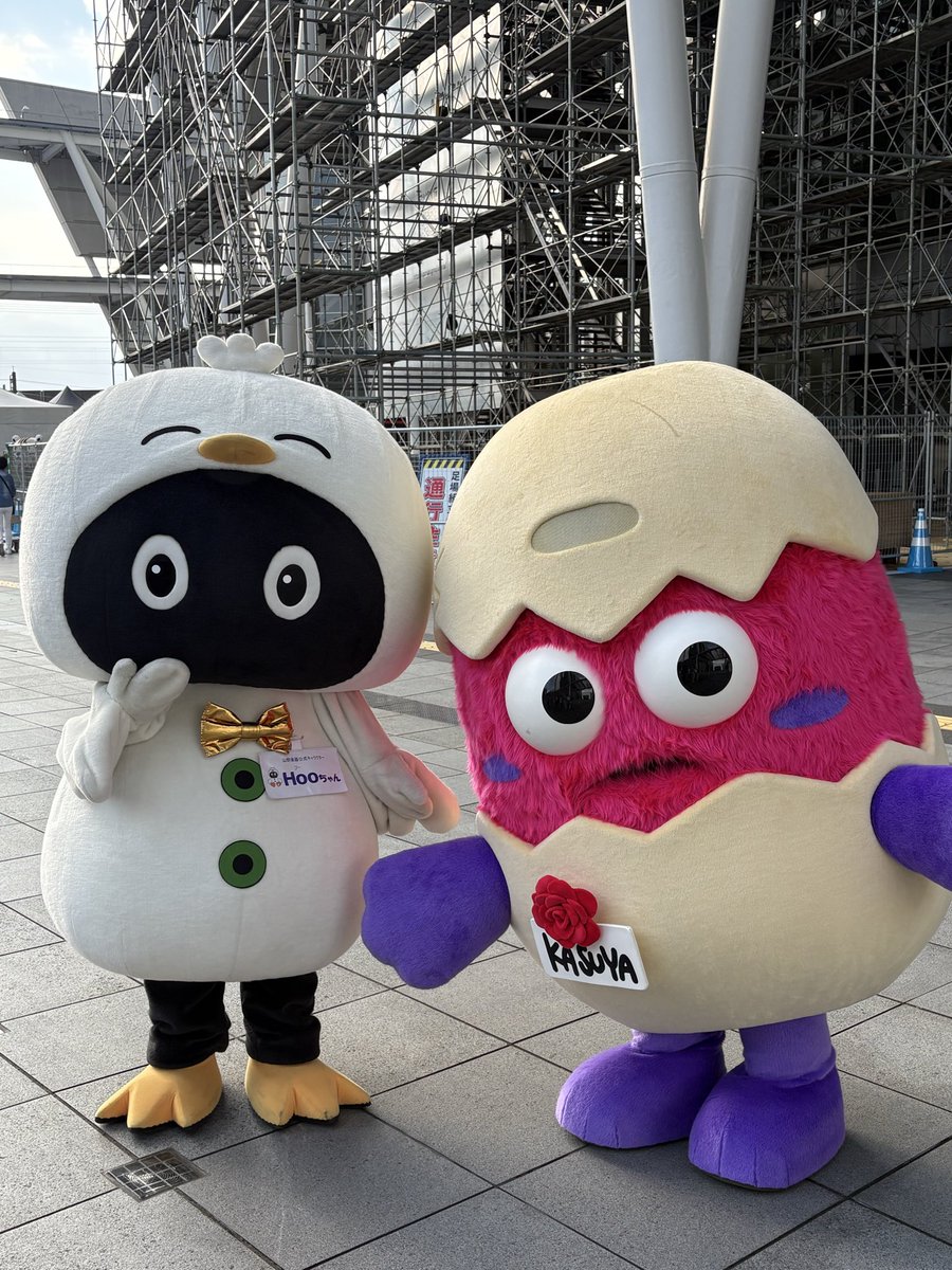 kasutamachan's tweet photo. @Hoo_yamano 
山野楽器のHooちゃん！
#ゆるバース2026
#ゆるバースの思い出 https://t.co/RIHj2OfMs1