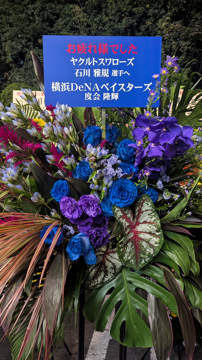 baystars_19hama's tweet photo. 【10/3 神宮】お花
度会くんはお花が2つあった💐
#baystars #三浦大輔 #村田修一 #田中浩康 #東克樹 #度会隆輝 https://t.co/S1pyg7AZkx