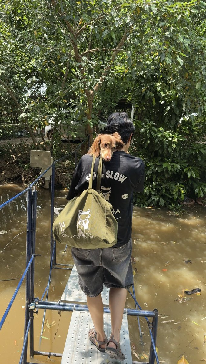 sun1nthebluesky's tweet photo. ฟูจิได้ลองเดินรันเวย์ด้วยฮะ 🤎
#fujio https://t.co/Z0r1qo733m