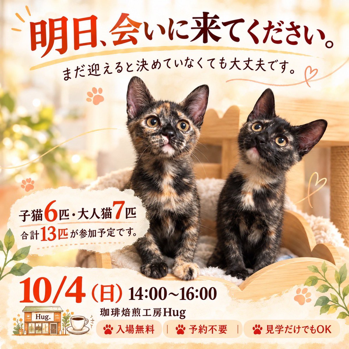 boss_cat60ya's tweet photo. 明日、10/4（日）開催です🐾

「どんな感じなんだろう？」

「いつか猫と暮らしたいけど、まだ決めていない」

「保護猫にちょっと会ってみたい」

そんな方も、ぜひ来てください😸
https://t.co/Cy0gtDYjkJ

詳細は画像に記載しています

#保護猫 #譲渡会 #宝塚 #子猫 #60家 https://t.co/zacRmZnMGC