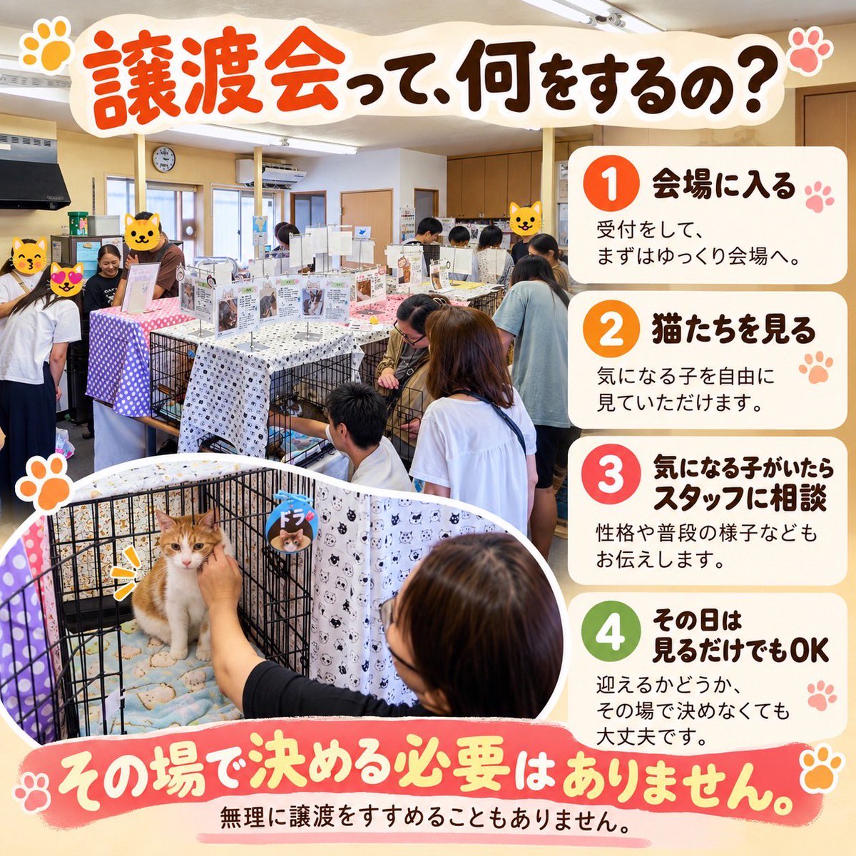 boss_cat60ya's tweet photo. 明日、10/4（日）開催です🐾

「どんな感じなんだろう？」

「いつか猫と暮らしたいけど、まだ決めていない」

「保護猫にちょっと会ってみたい」

そんな方も、ぜひ来てください😸
https://t.co/Cy0gtDYjkJ

詳細は画像に記載しています

#保護猫 #譲渡会 #宝塚 #子猫 #60家 https://t.co/zacRmZnMGC