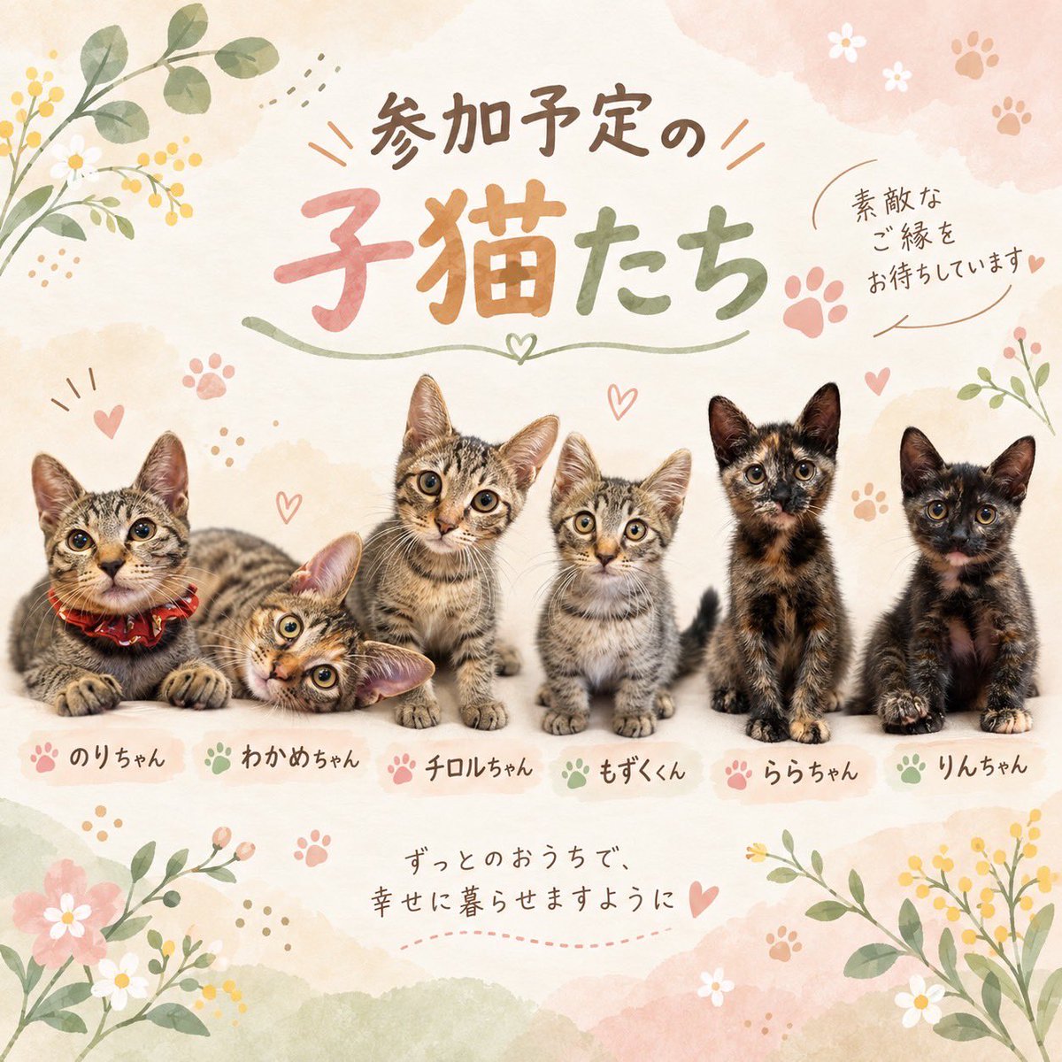 boss_cat60ya's tweet photo. 明日、10/4（日）開催です🐾

「どんな感じなんだろう？」

「いつか猫と暮らしたいけど、まだ決めていない」

「保護猫にちょっと会ってみたい」

そんな方も、ぜひ来てください😸
https://t.co/Cy0gtDYjkJ

詳細は画像に記載しています

#保護猫 #譲渡会 #宝塚 #子猫 #60家 https://t.co/zacRmZnMGC