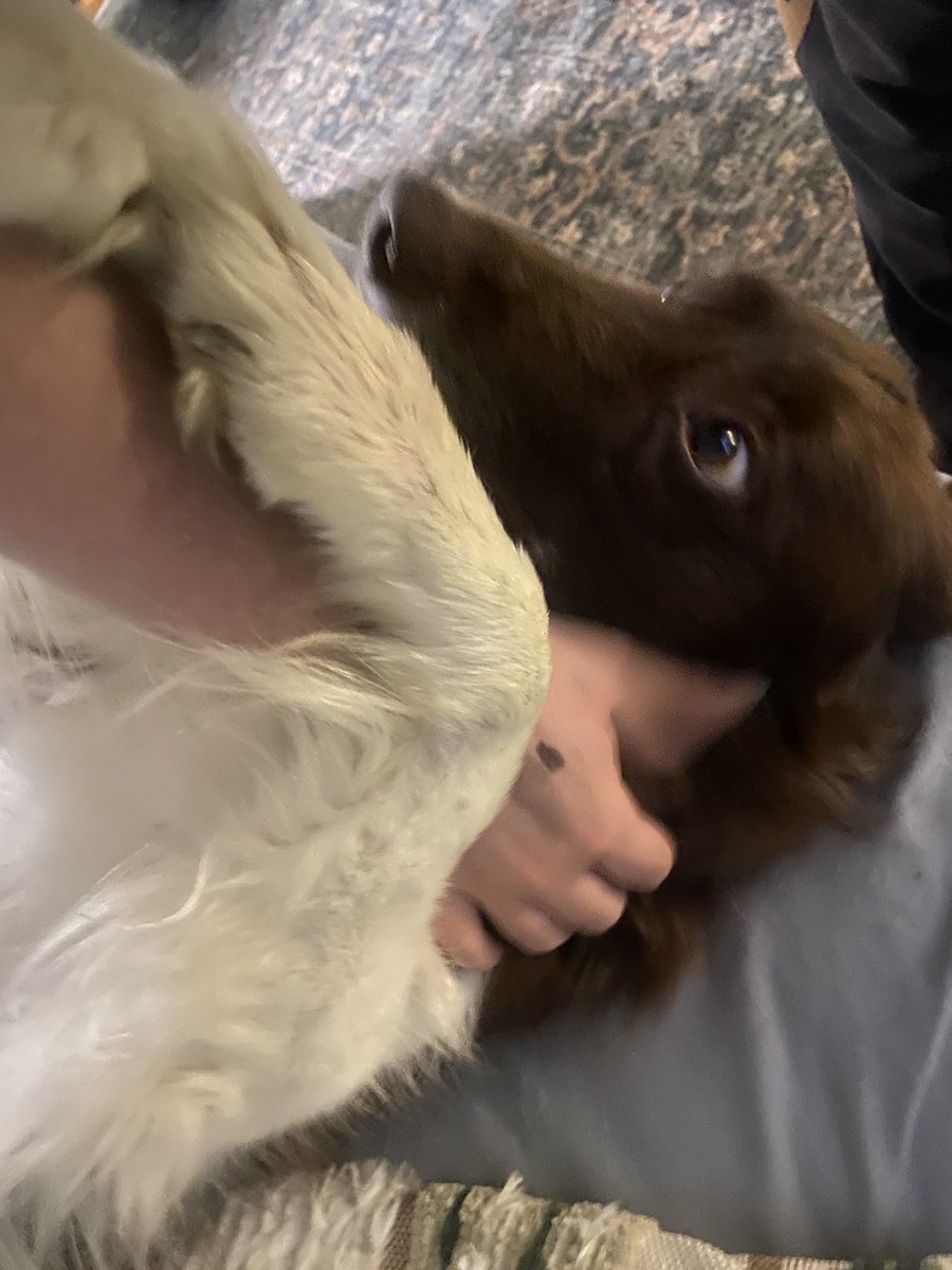 myefeblum's tweet photo. @crowmutt_ she loves u too https://t.co/SNkLbkUzNE