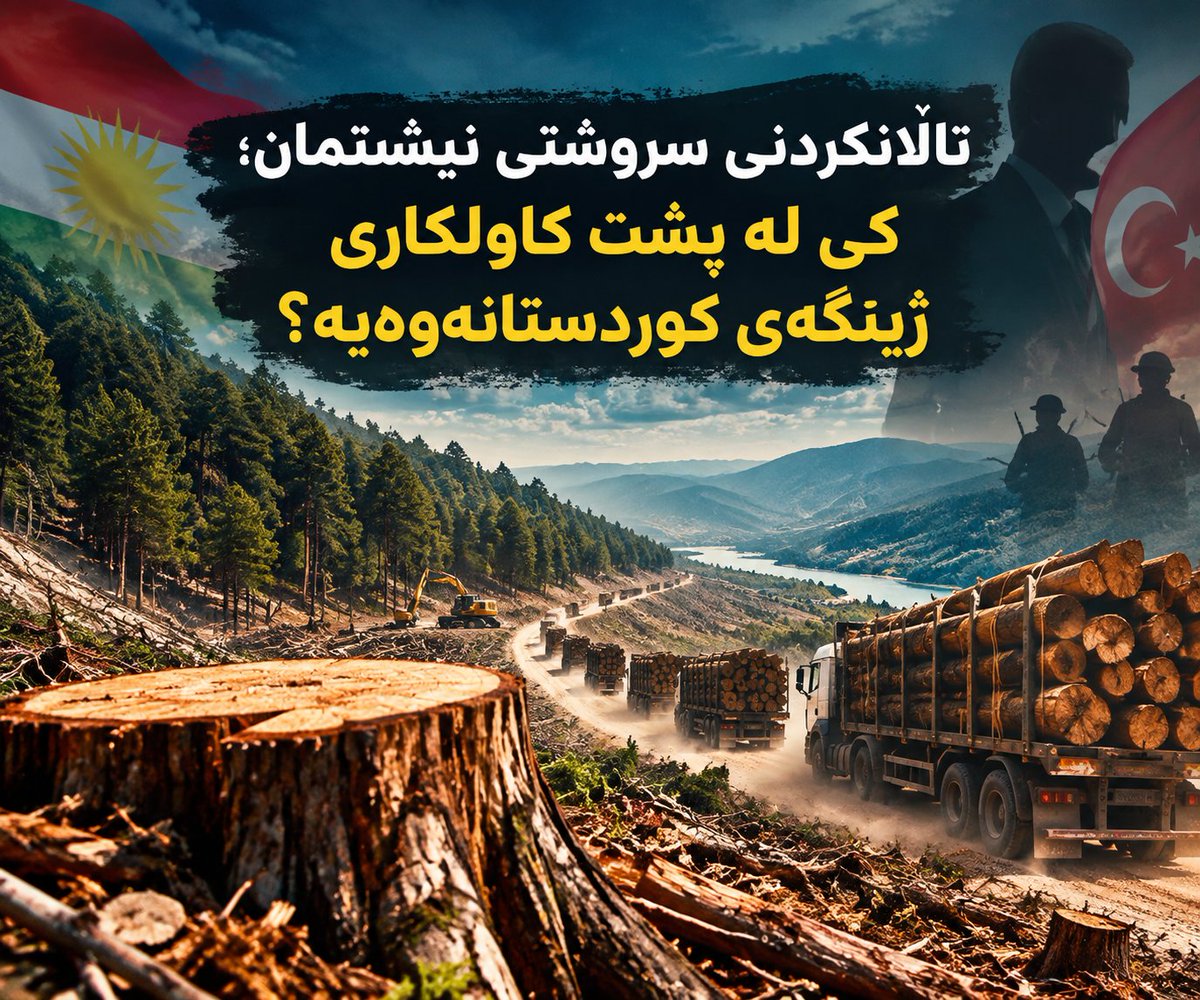 Hejir_hnu's tweet photo. تاڵانکردنی سروشتی نیشتمان؛ کێ لە پشت کاولکاری ژینگەی کوردستانەوەیە؟

پرسیارێک کە پێویستە هەموو تاکێکی کورد لە خۆی بپرسێت و بە دوای وەڵامەکەیدا بچێت ئەوەیە: کێ لە پشت ئەو کاولکاری و تاڵانییەی ژینگەی باشوری کوردستانە؟

بڕینەوەی بەلێشاوی دارستانەکانی باشوری کوردستان و گواستنەوەیان بۆ تورکیا، بابەتێکی سادە و ڕووداوێکی هەڕەمەکی نییە، بەڵکوو پرۆژەیەکی داگیرکاری و تاوانێکی گەورەی نیشتمانییە. لە کاتێکدا هاووڵاتییەکی ئاسایی لەسەر بڕینەوەی لقەدارێک ڕووبەڕووی سزای قورس دەبێتەوە، چۆن دەکرێت بە درێژایی چەندین ساڵ بە ملیۆنان دار ببڕدرێنەوە و بە سەدان بارهەڵگر ئاودیوی تورکیا بکرێن؟
بێ گومان کارێکی وا گەورە بەبێ ڕەزامەندی، دەستتێکەڵکردن و پاراستنی دەسەڵاتدارانی زۆنی زەرد و بەتایبەت بنەماڵەی بارزانی هەرگیز جێبەجێ نابێت.

بۆ تێگەیشتن لەوەی کە چۆن بنەماڵەی بارزانی و کۆمپانیا تورکییەکان و دەزگا هەواڵگرییەکان پێکەوە ئەم کاولکارییە دەکەن پێویستە پەردە لەسەر هەندێک بابەت هەڵدەینەوە و بگەڕێینەوە دواوە و ڕۆڵی یەک بە یەکی کۆمپانیا و کەسایەتییەکانی تێوەگلاو لەو کاولکارییە بنکۆڵ بکەین.