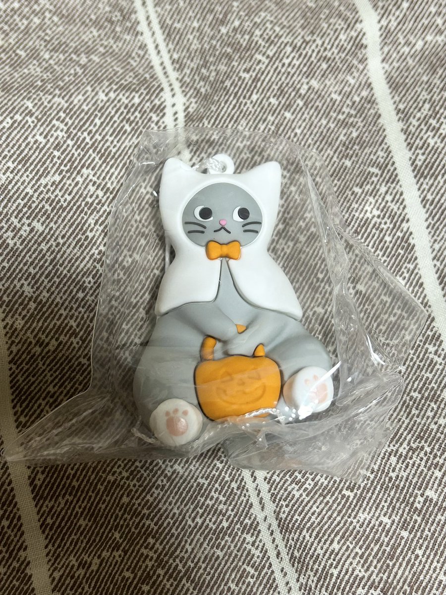 tmk26945557's tweet photo. KALDIハロウィンねこ https://t.co/cAp8G7pwbK