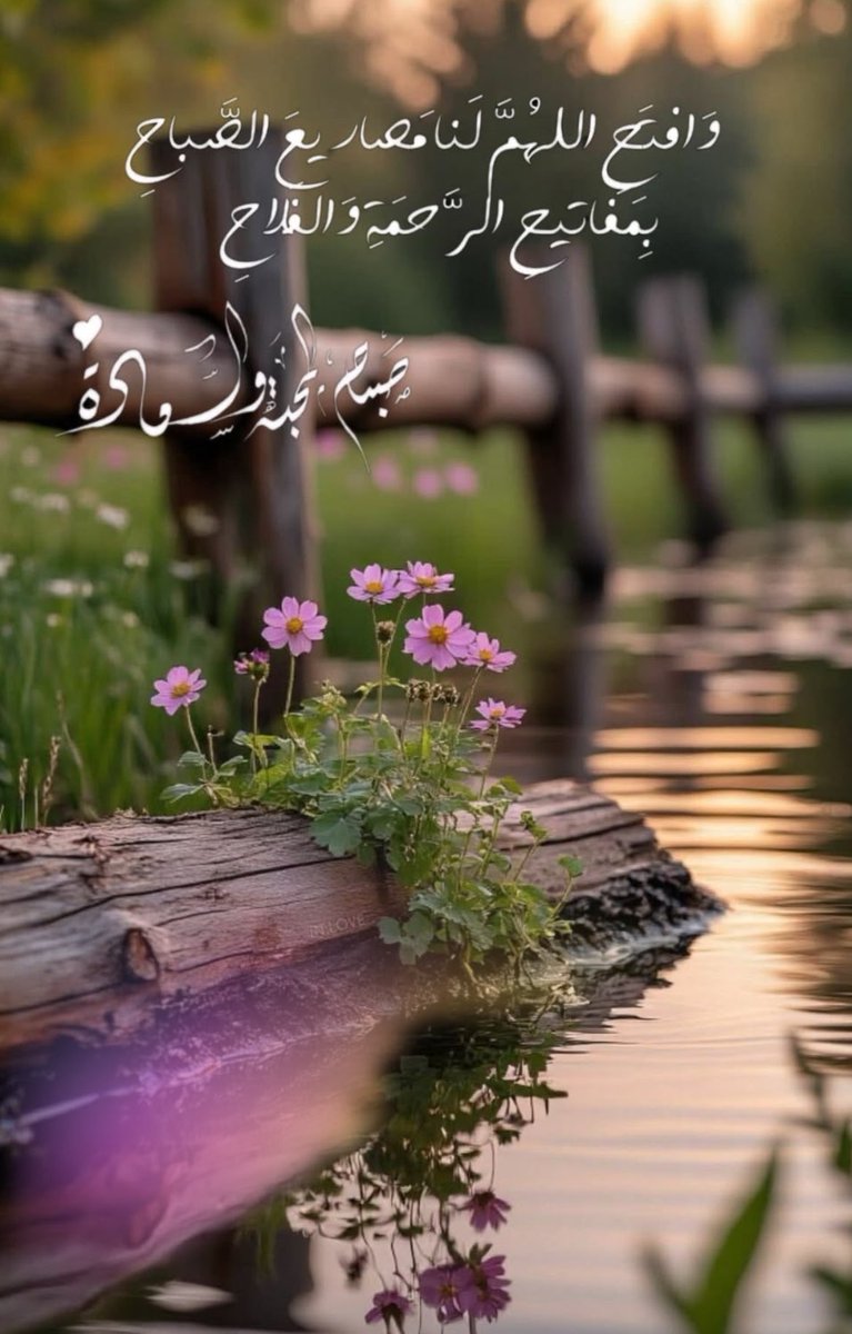 allaaaaaaaaah's tweet photo. صلاة ظهر ❤️🌹

مدري شلون صباح الخير وصلاة ظهر ❤️
المهم يلا نصلي 🌹❤️ https://t.co/pTZzLzOxK1