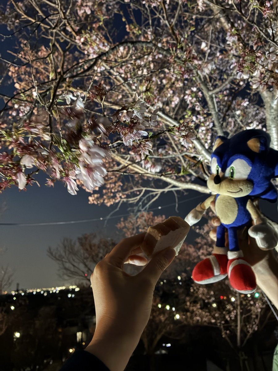 Ms_Virago's tweet photo. それもしかしてソニックにも同じ世界を見せてあげたい…ってこと？！って聞いたら、うん…😌💦と初めて真意が😳

あと毎朝学校行く時、自分のベッドからリビングに移動させてて「もしかして映画ソニックみたいに日中ひとりで寂しく過ごさせる訳にはいかない…ってこと？！」て聞いたらうん…😌💦と！→ https://t.co/vW1qJQw4aF