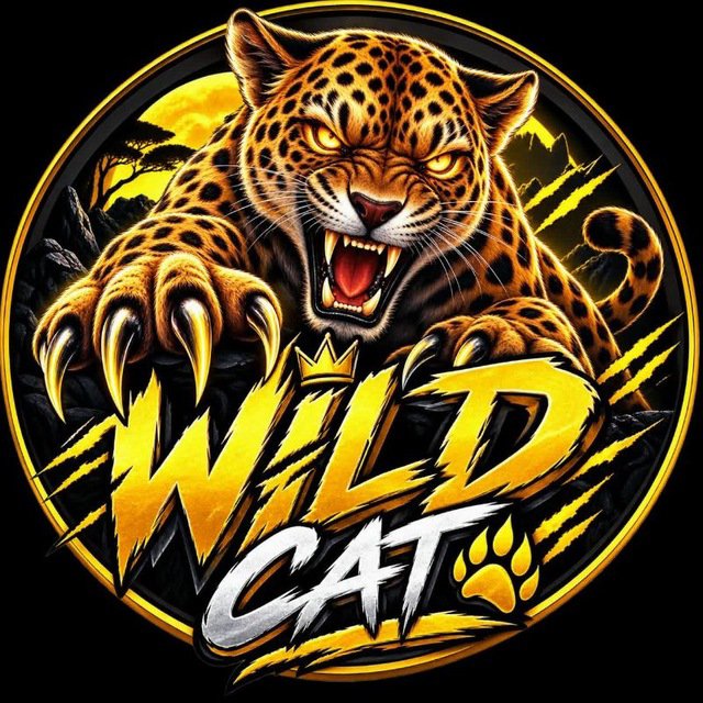 OMercy59226's tweet photo. @MrHodlReal Check out $Wicat https://t.co/MTGODHTslj