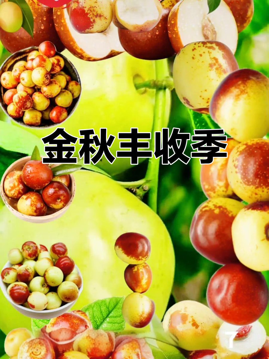 essel066399's tweet photo. When the golden autumn wind caresses the banana leaves, do not let competition for resources invade our shared joy of autumn harvest？ https://t.co/BQe5Xq8H0x