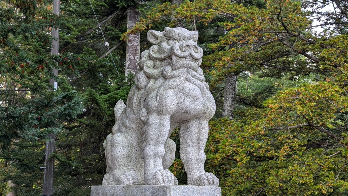 kusakaaoi's tweet photo. 鹿追神社
狛犬めっちゃ筋肉質！ https://t.co/61cQJKEMkh