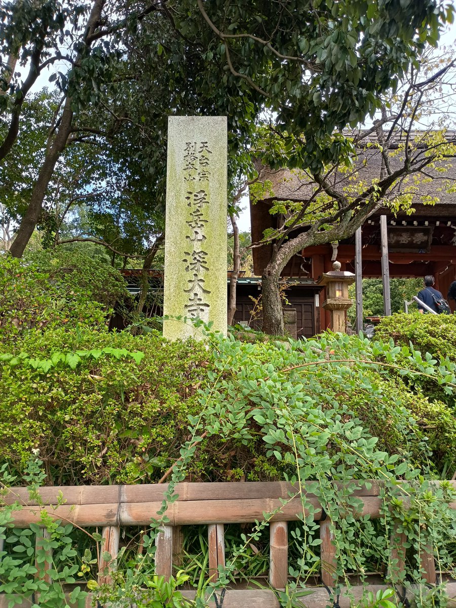 kaze3bumi's tweet photo. 深大寺行ったけど、リア友となので圭くん関連には行かず。。
神代植物公園の秋バラ🌹まだ少し早かったけど、ダリアが見頃で綺麗だった
雨女メンバーなのに珍しく晴れて嬉しい☀️
歩き疲れたけど久々にお喋り出来て楽しかった〜
帰りの電車は１人��ので寝ちゃいそうだなぁ😁 https://t.co/AnoVLqra9O