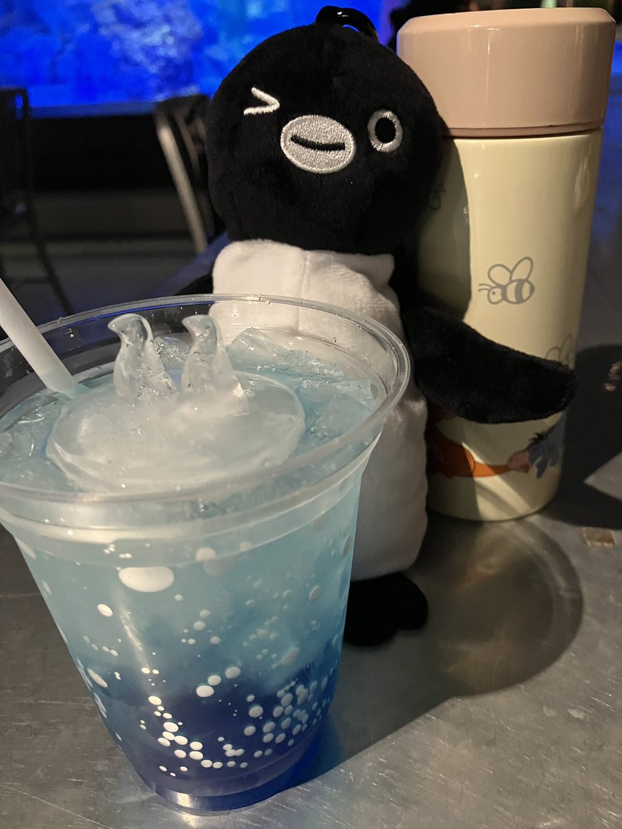 Roba_Penguin's tweet photo. 本日はすみだ水族館でペン活してきました🐧💨🐧💨🐧🐧🐧💨
エコバッグペンさん、お出かけデビューです🐧
アデリーさん、初めてマゼランさんに会いました🐧💕💕 https://t.co/XAJsWRqItS